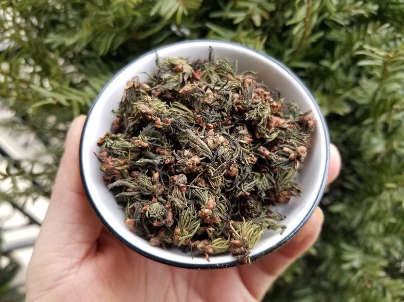 整朵杜仲雄花批发 现货新杜仲花每斤价格 入药原材料 茶叶