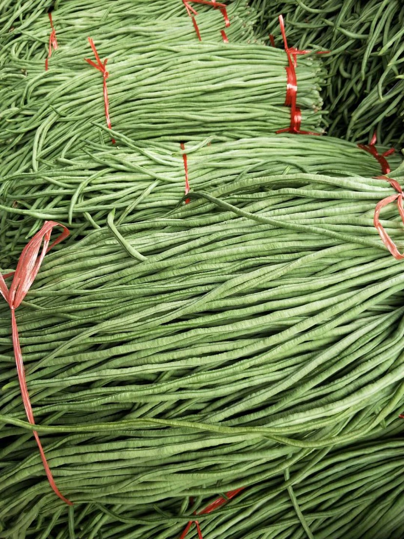 长豇豆豇豆价格便宜量大欢迎咨询