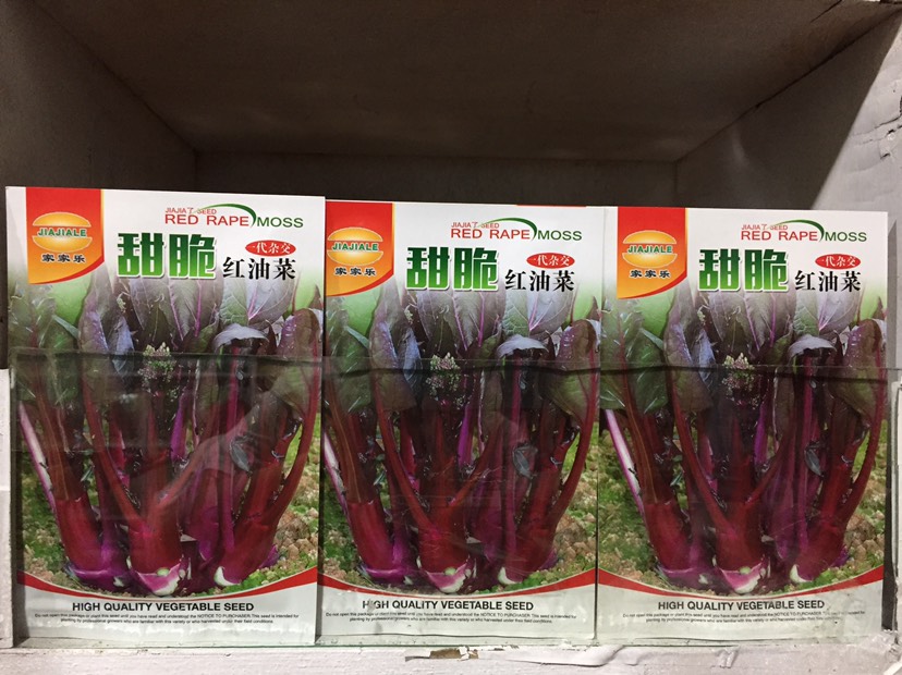 四川成都成华区 红油菜种子,油菜苔种子,苔粗颜色鲜红