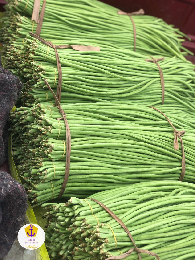 山东豆角 精品豆角 缸豆脱水