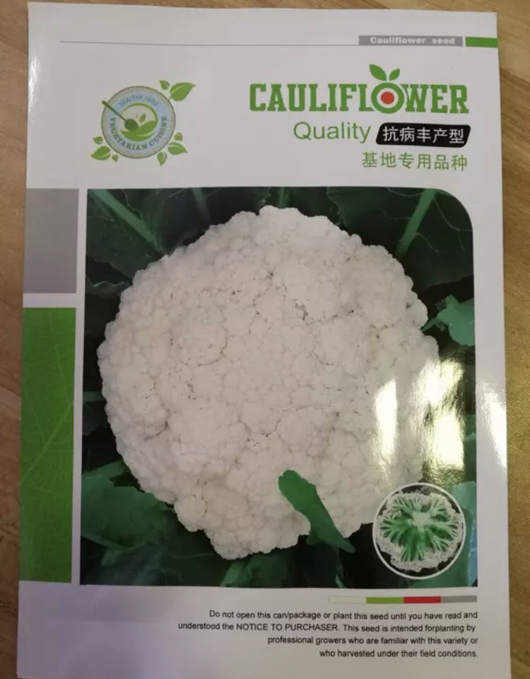 白面青梗松花菜种子 台松88天特级高产有机花菜种子
