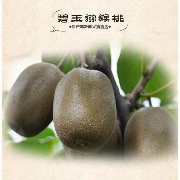 博山碧玉猕猴桃 就是甜