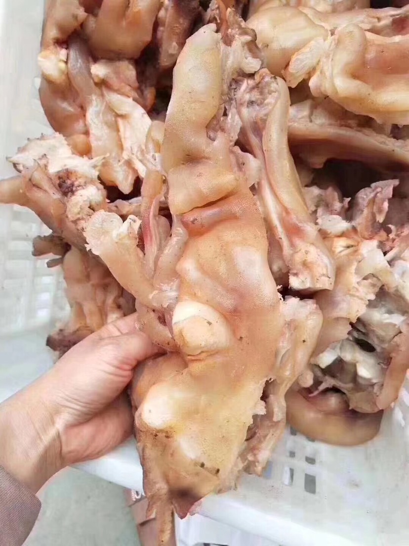 牛蹄筋 全熟去骨牛蹄