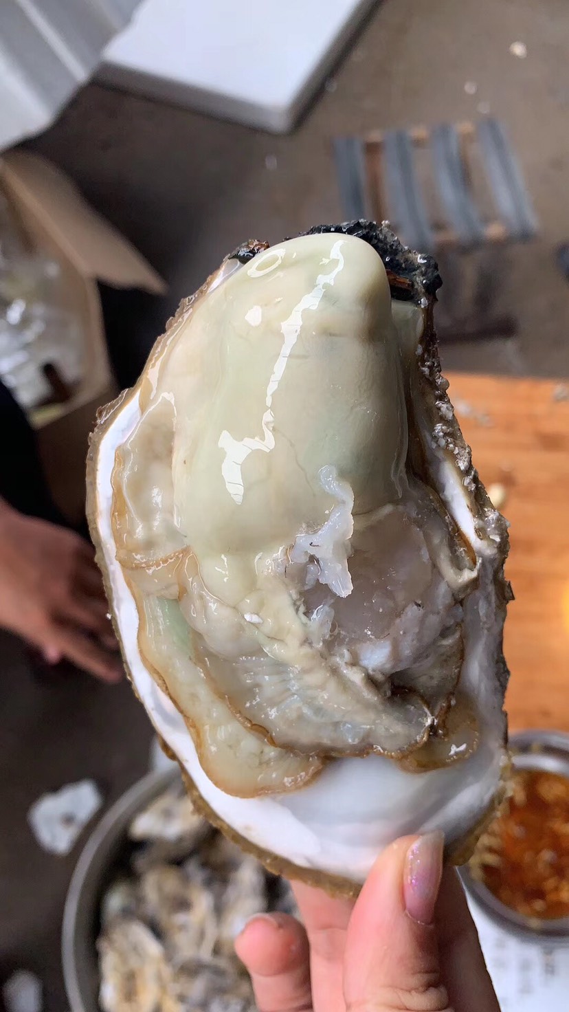 [广州生蚝批发]广州生蚝 鲜*生蚝,产地直销,二倍体三