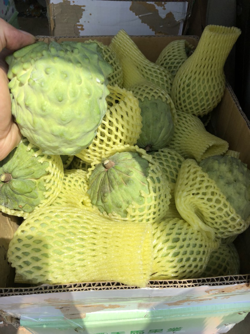 台湾释迦 天天现摘,每天2万斤鲜果,货源充足,价格优惠.