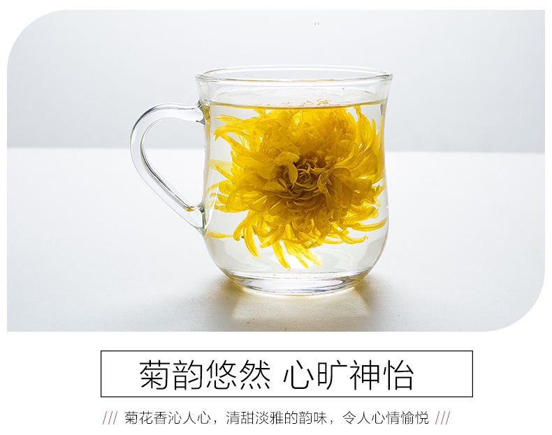 金丝皇菊花茶 金丝皇菊一朵一杯降火菊花24小时内发货一件也包邮