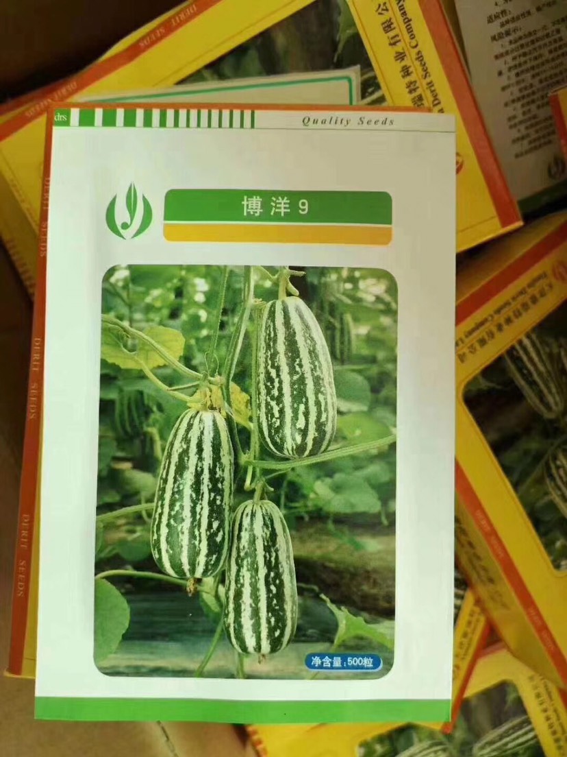 博洋系列9甜瓜种子
