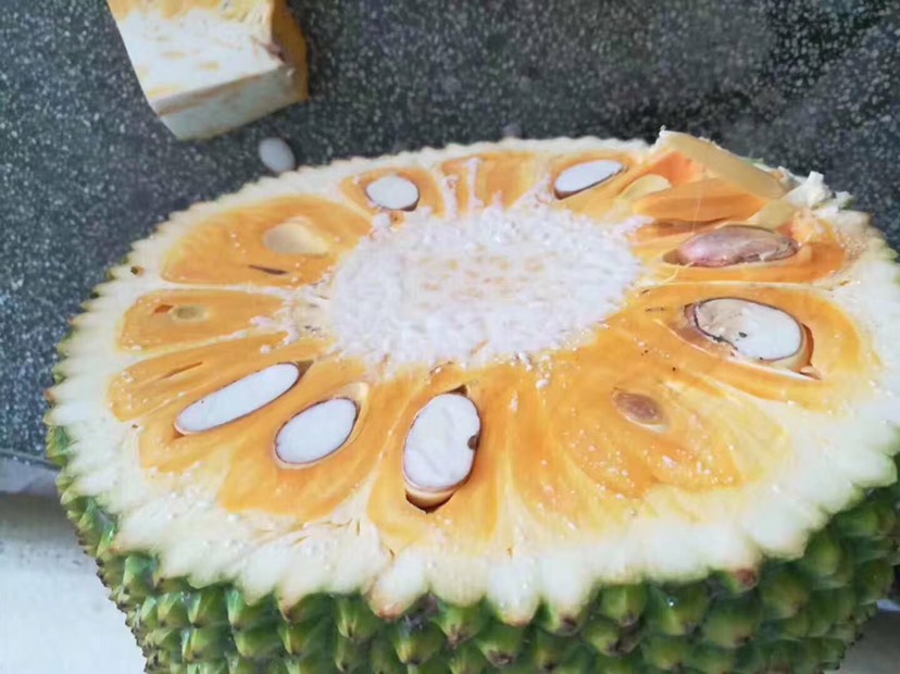 越南红肉菠萝蜜