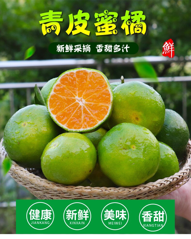 现货湖北宜昌橘子酸甜青皮蜜桔孕妇新鲜水果现摘5斤9斤包邮