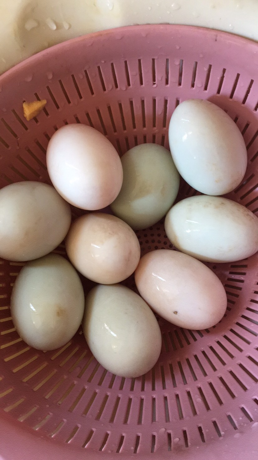 番鸭种蛋 黑番鸭杂交种蛋快大30枚包邮