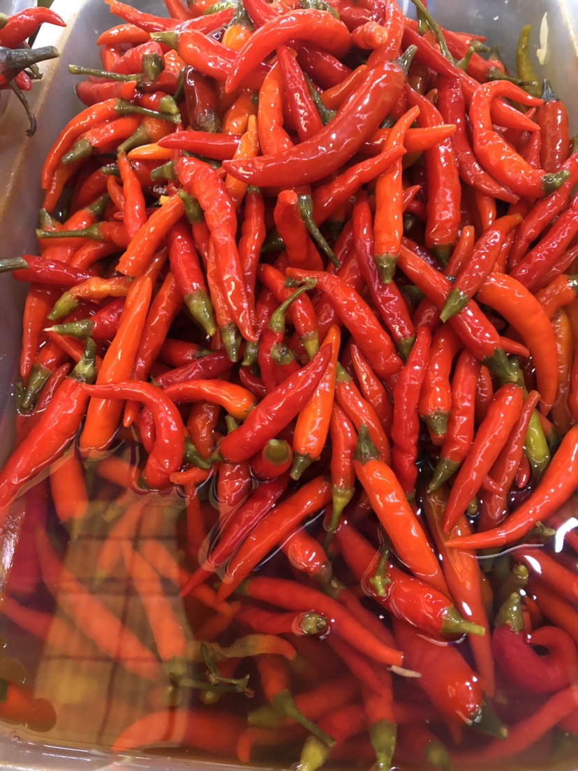 小米椒 腌制小红米椒