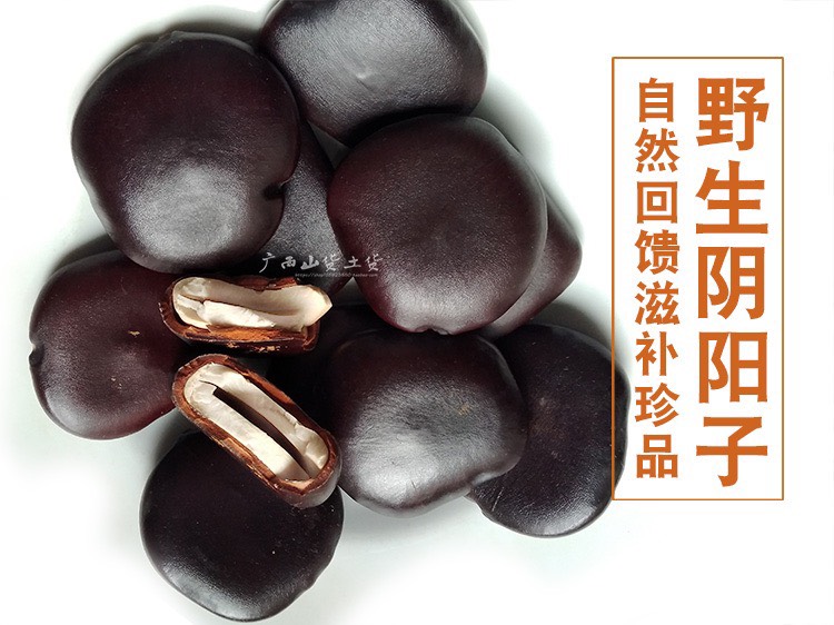 过江龙 野生货!阴阳子!补阳!泡酒必备!一斤包邮到家
