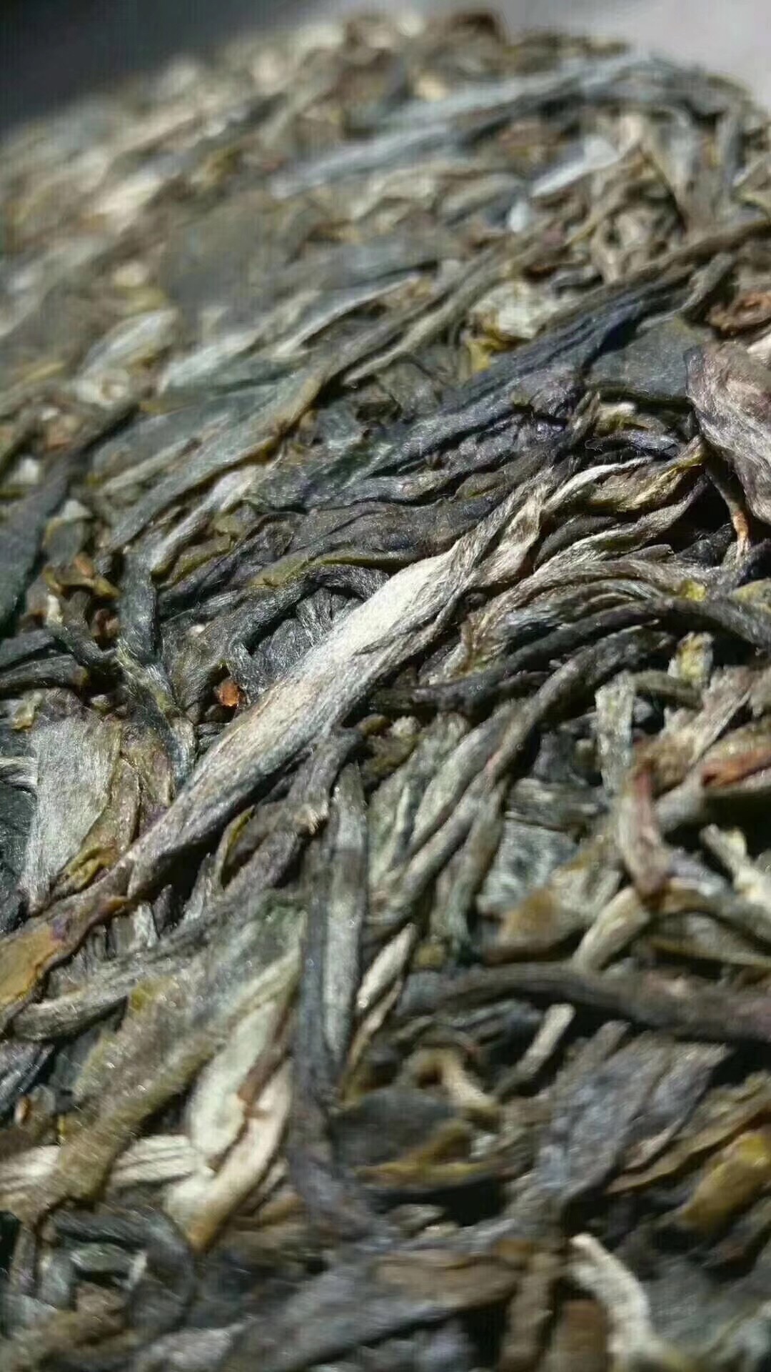 老树普洱 散装