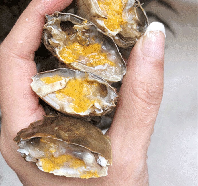 阳澄湖大闸蟹 老头蟹一二三元小毛蟹六月黄蟹全部有黄带膏河蟹礼品箱