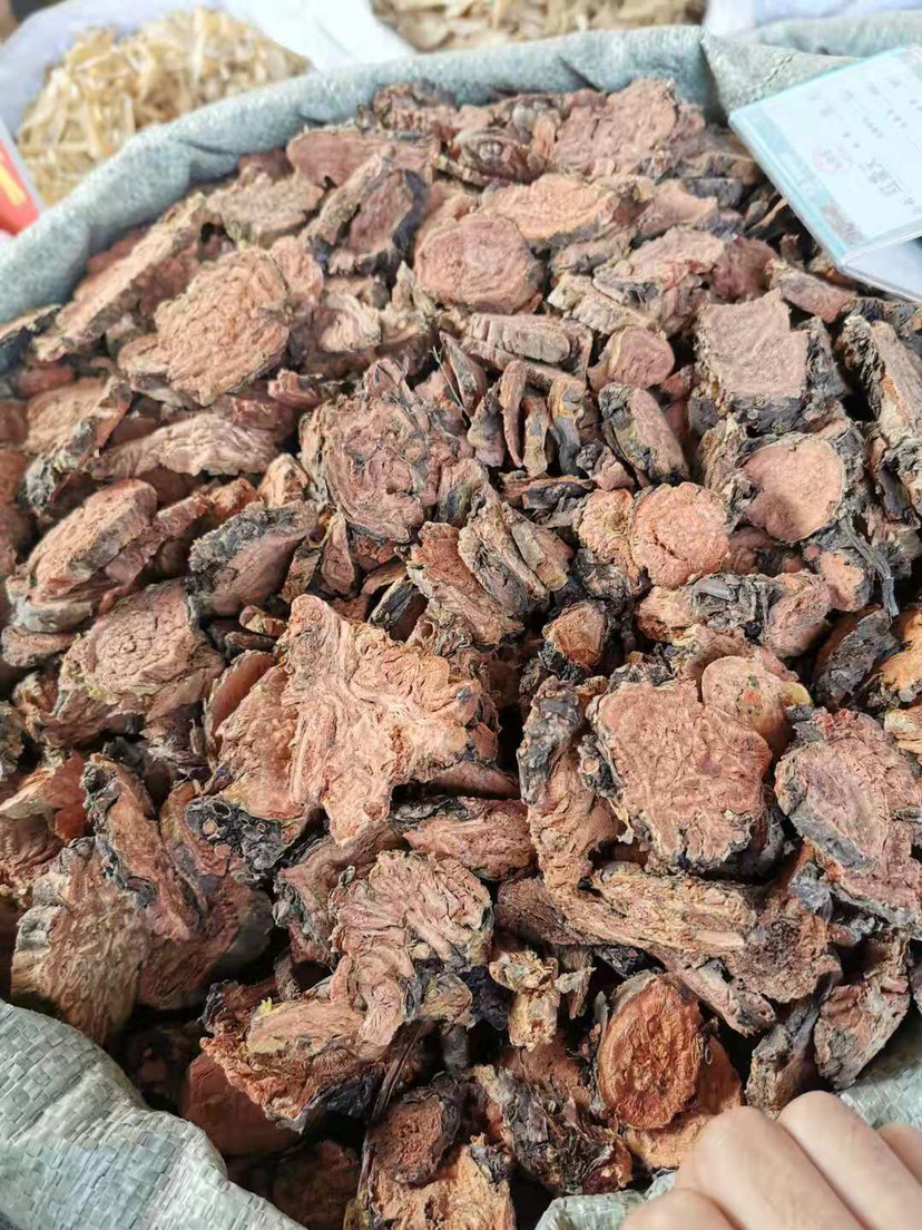 红景天 天然带皮红心干片泡茶高原旅游抗高反药材可打粉