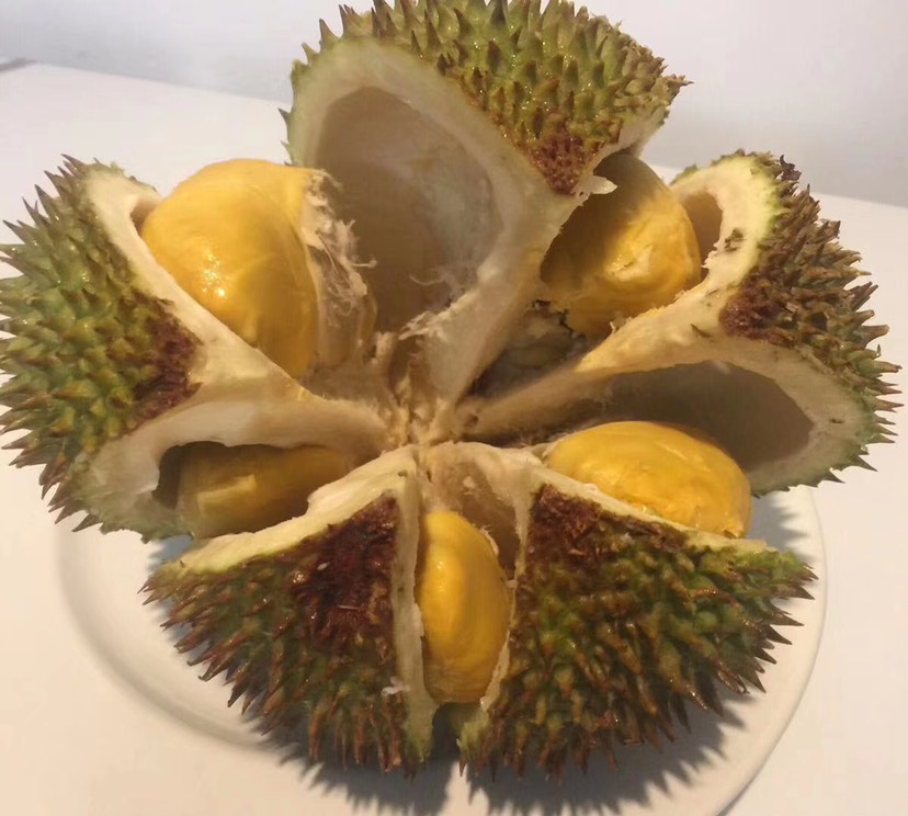 马来西亚d13金包榴莲(朱雀榴莲)