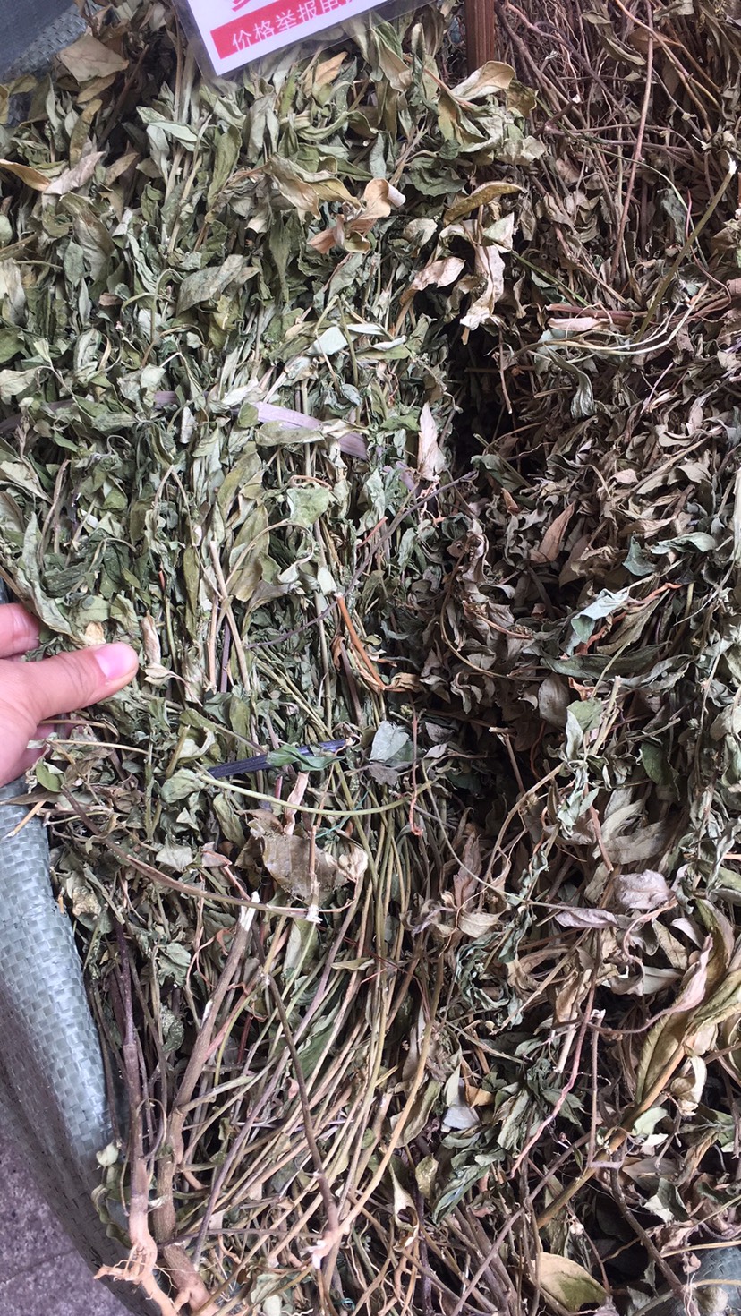 其它全草类 金不换草药