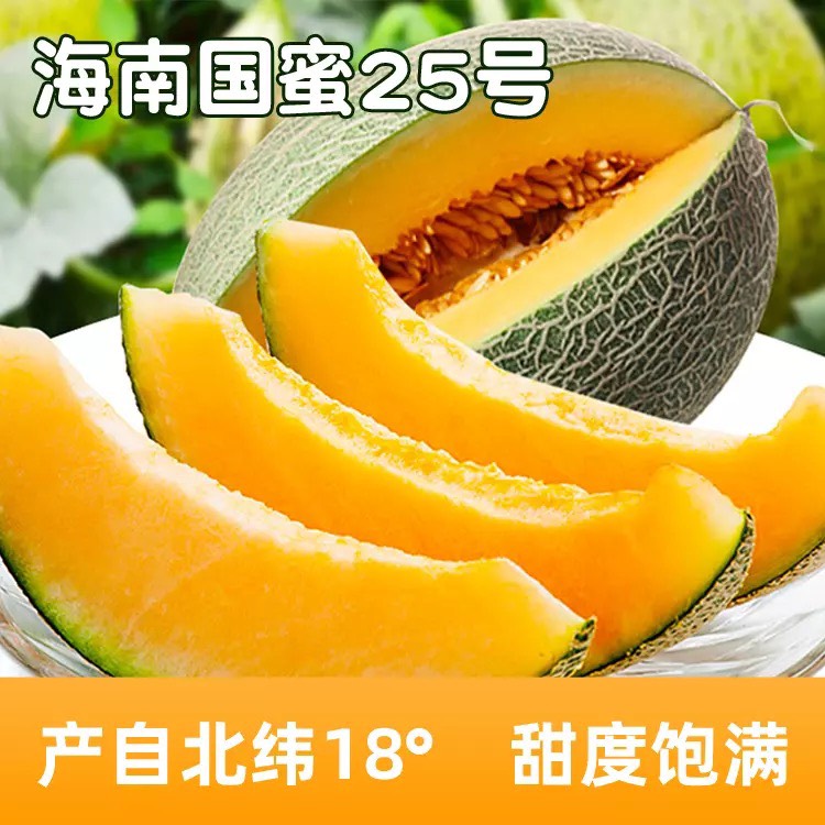[晓蜜25号批发] 海南 海沙种哈密瓜 25号 薄皮价格3.5元/斤 - 惠农网