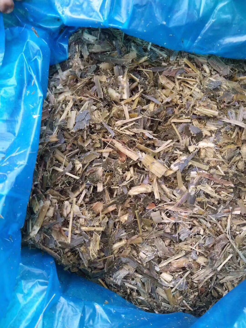 青储草 青储饲料玉米秸秆压块青贮牛羊黄储发酵饲料