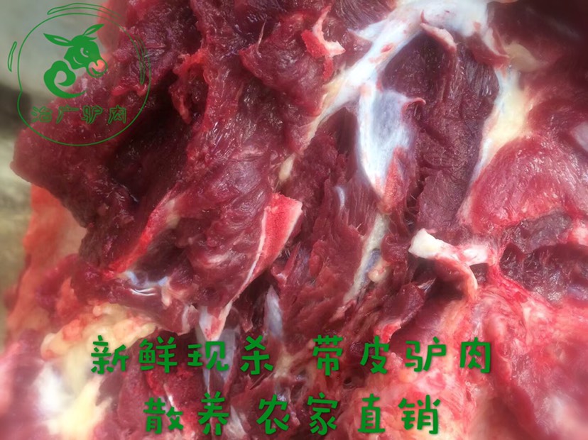 生驴肺新鲜现杀卤煮驴肺驴下水驴杂内脏驴杂汤火烧熟驴肺驴肉