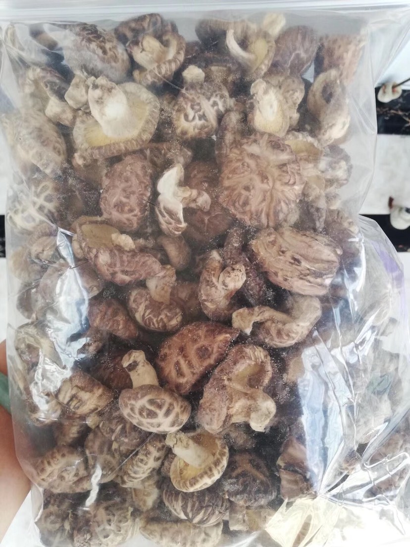 [椴木菇批发]原木干香菇 原木枫树菇价格140元/斤