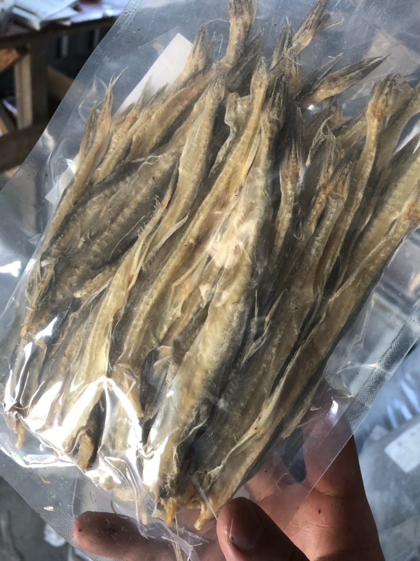 龙头鱼干 厂家直销 批发 豆腐鱼九肚鱼干 质量保证