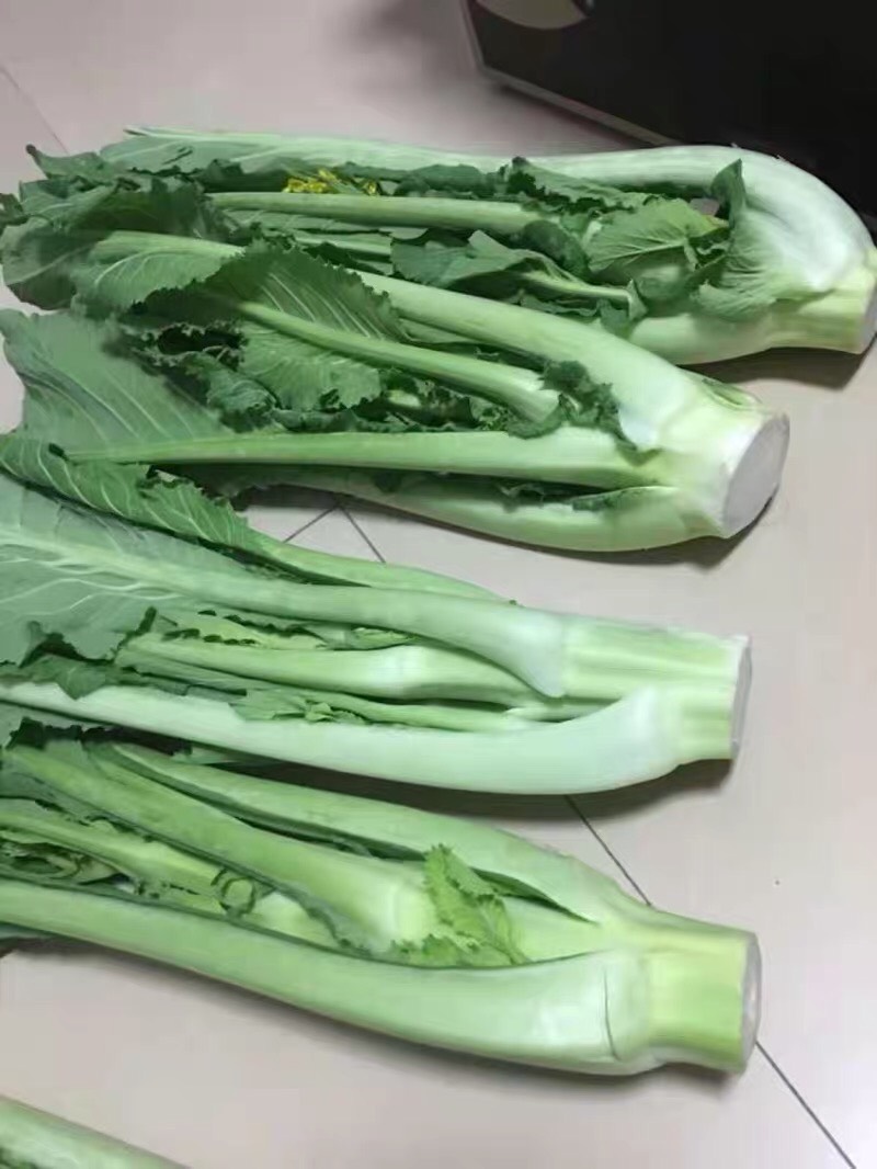 正宗增城迟菜心