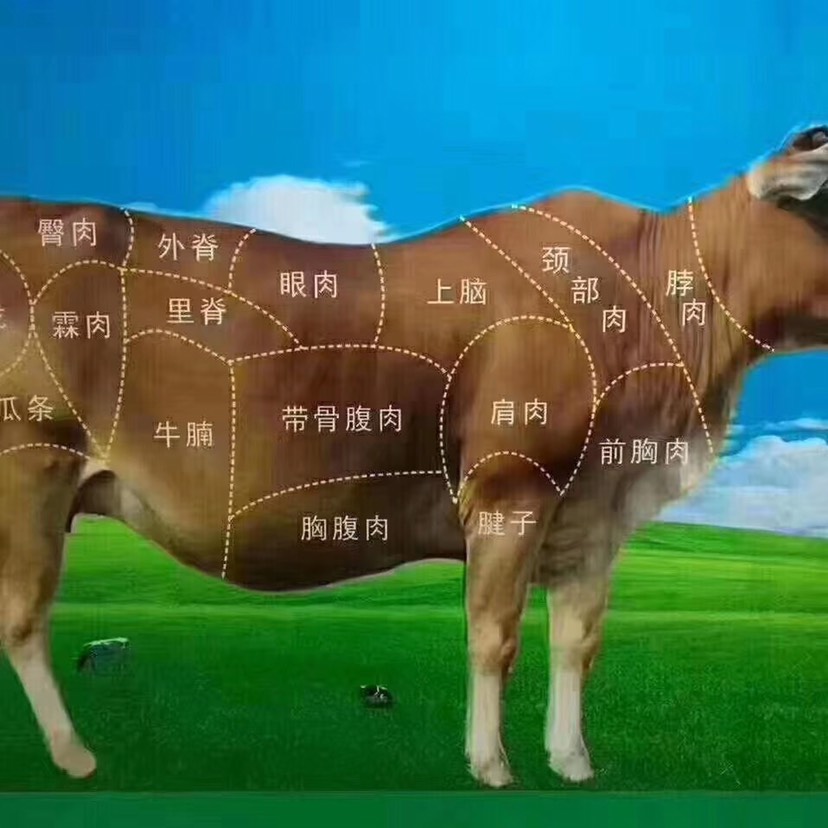 肉多牛排段