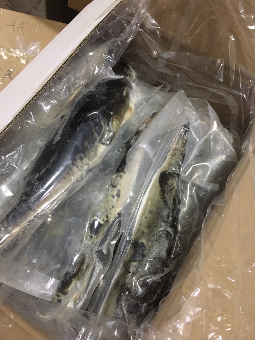 河北冷冻海鱼