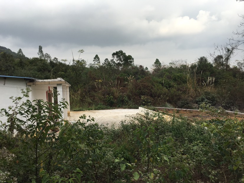 阳春潭水有林地1100亩转租可养殖