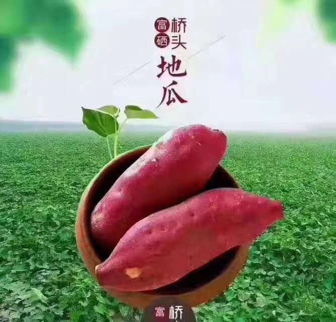 桥头地瓜 地瓜地瓜,美味健康,天然绿色食品,好吃不腻[转圈][转圈]