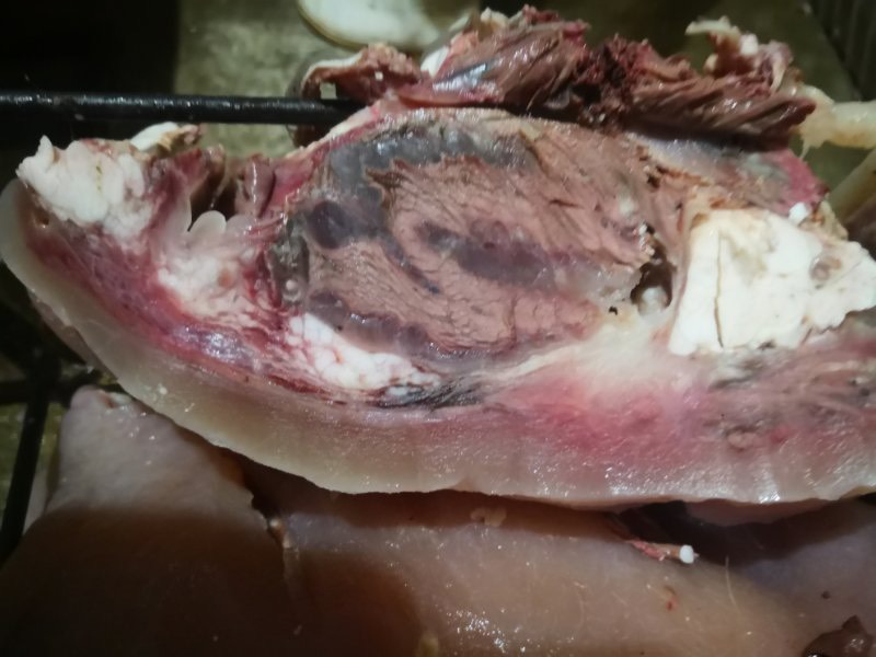 [牛头肉批发] 「爆款」熟牛头肉 源头厂家直销 质量包