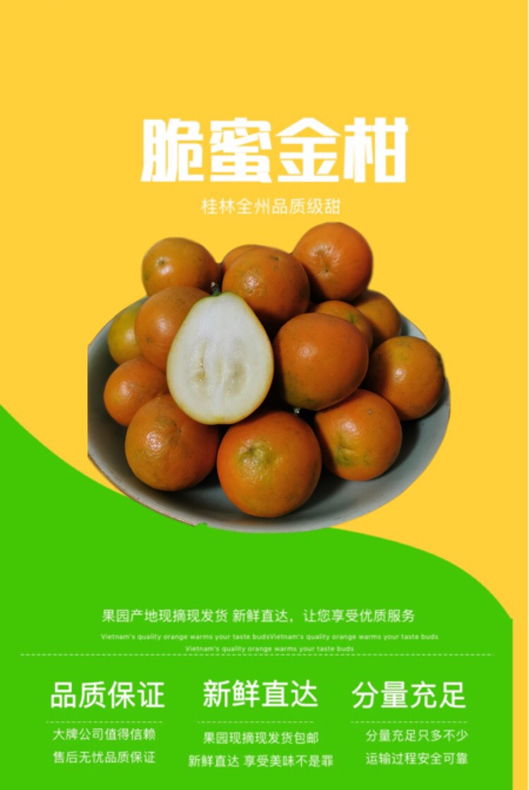 脆蜜金桔2020桂北果夫脆蜜金柑基地直销供应