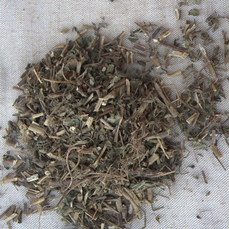 中药材 鬼针草
