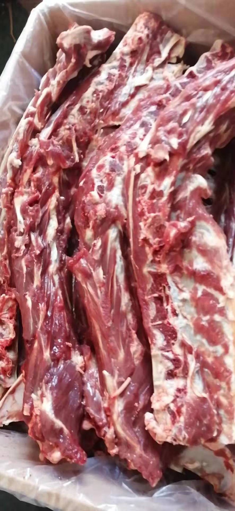 锡林郭勒草原牛羊肉,欢迎订购!