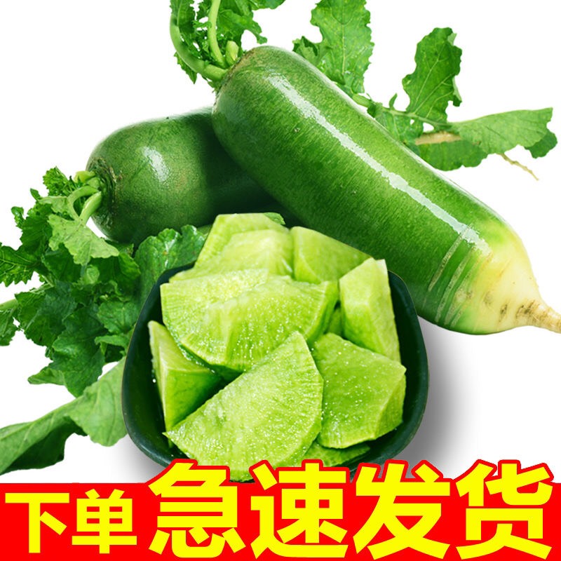 河南兰考县【限时抢购包邮】正宗绿皮沙窝萝卜水果萝卜新鲜萝卜甜脆