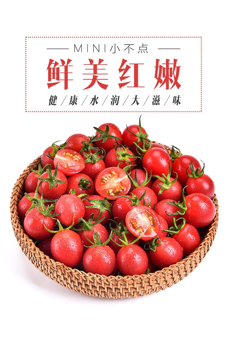 釜山88圣女果
