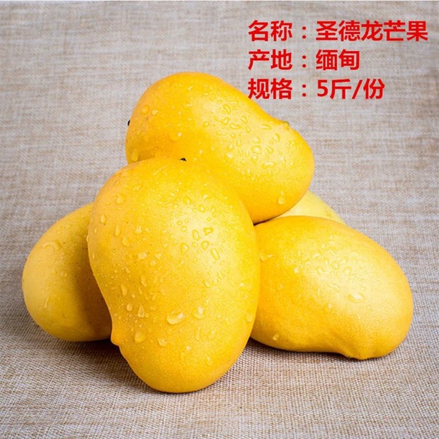 [圣德龙批发] 进口缅甸鹰嘴芒精品芒果鲜现货大果熟包
