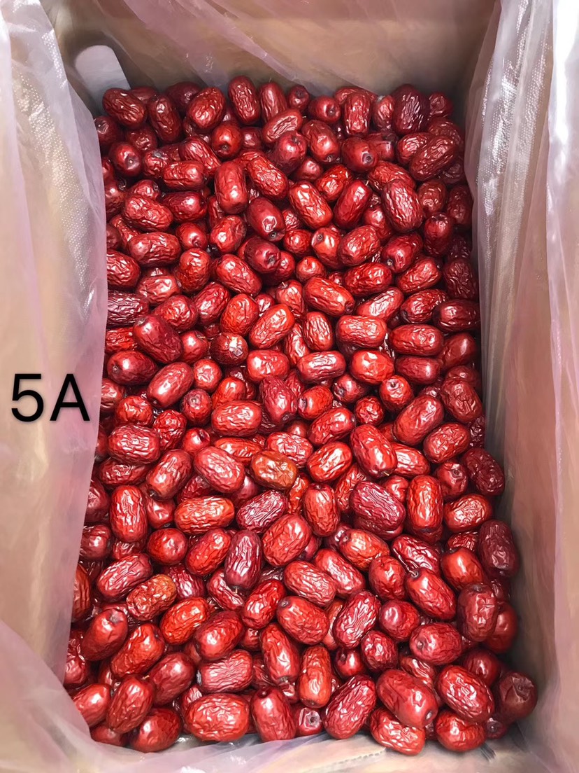 新疆红枣