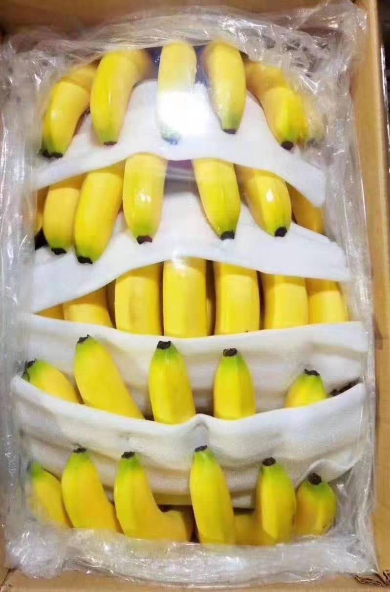 [香蕉批发 香蕉,苹果蕉,国产皇帝蕉价格35元/箱 惠农网