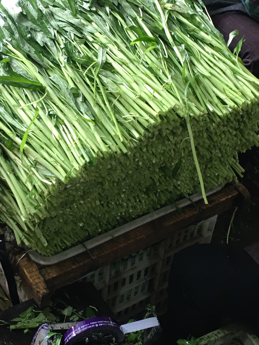 福建白杆空心菜