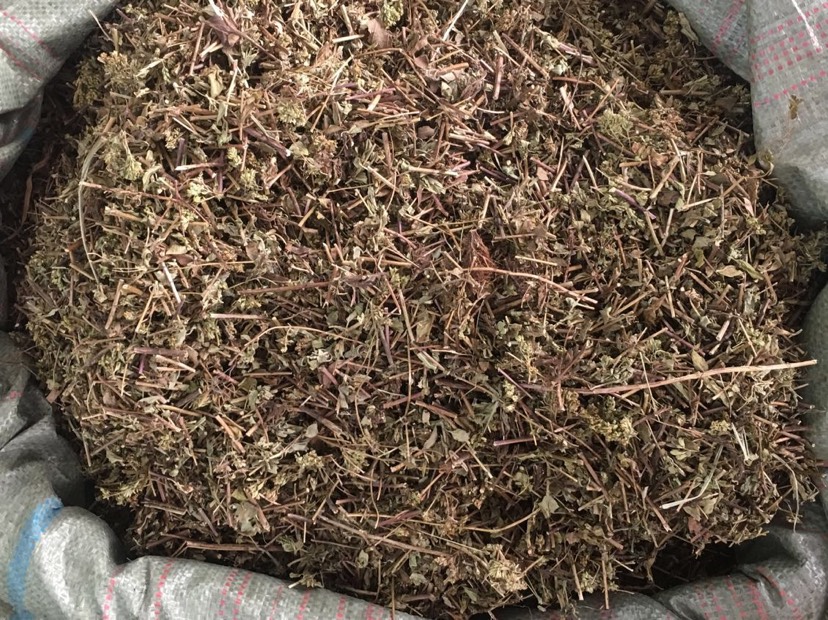大货供应{土茵陈}可批量可零售量大从优【包邮】