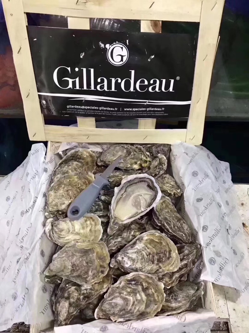 法国吉拉多牡蛎 原装法国吉娜朵批发价