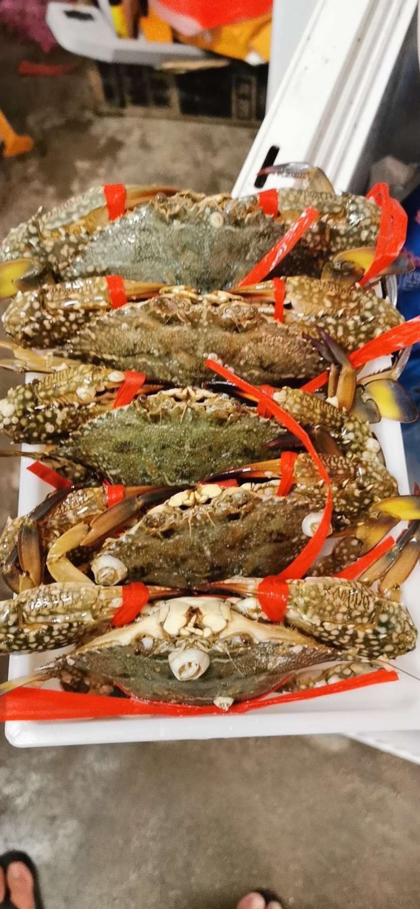 海鲜礼盒装 冰鲜母花蟹