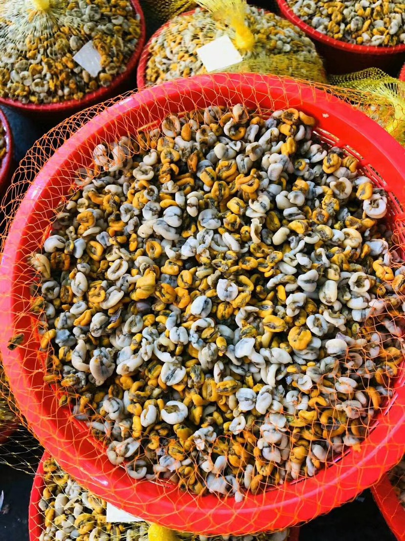 海瓜子 潮汕薄壳米