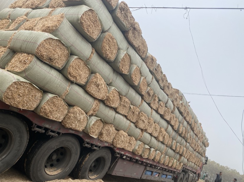 秸秆类饲料 出售麦草,稻草,玉米秸秆