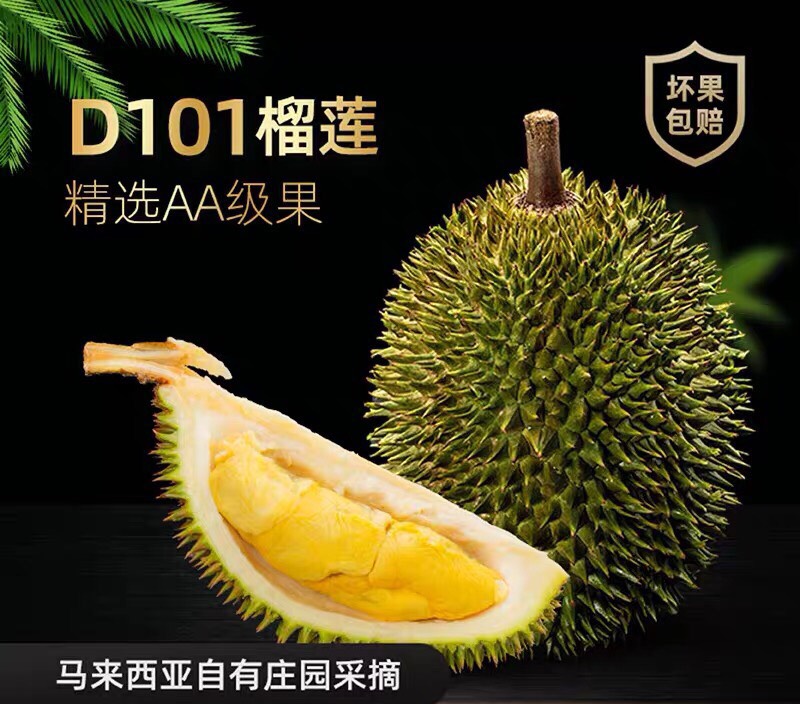 广东广州猫山王榴莲 【一件代发】马来西亚d101红肉榴莲