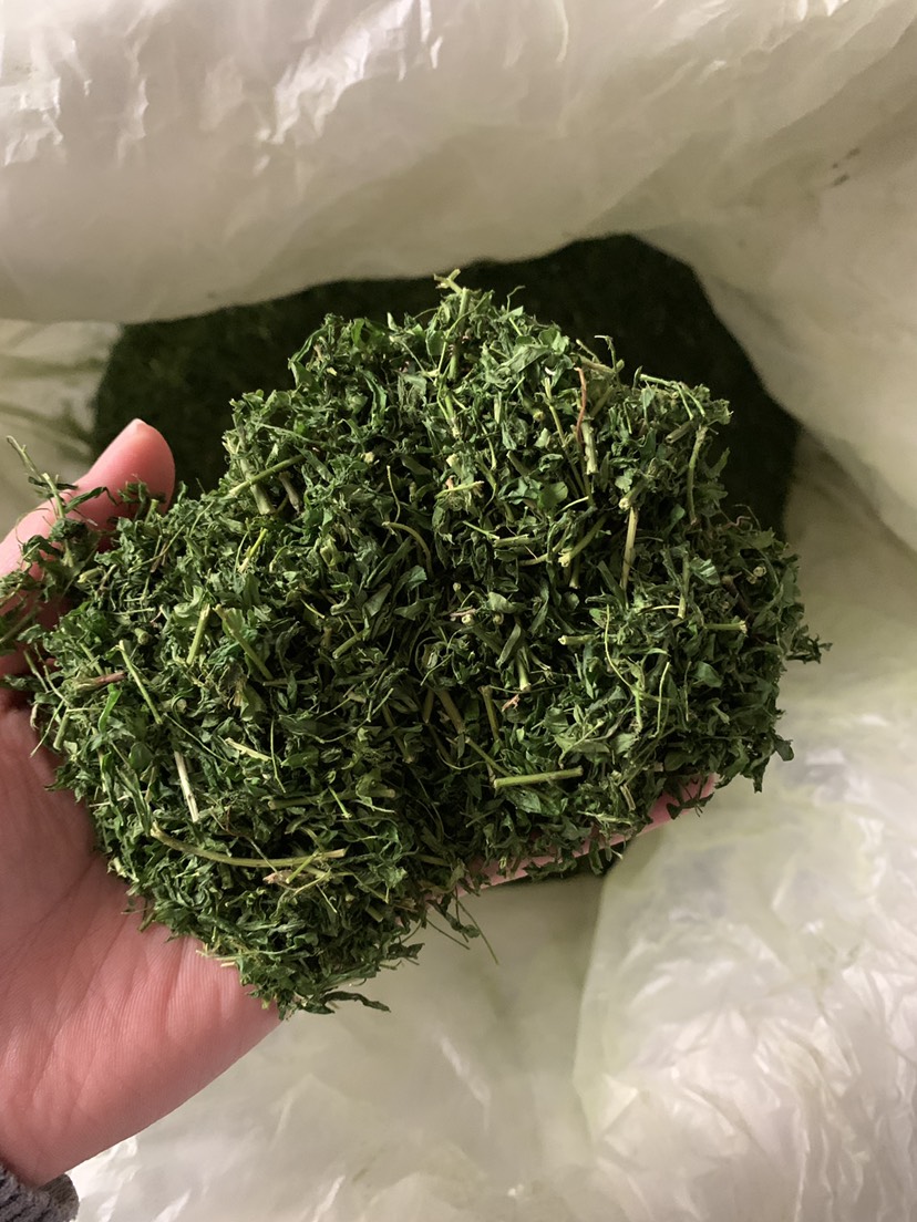 相思藤叶 相思藤相思茶养肝茶护肝茶大量批发 原产地直销 可批发 可零