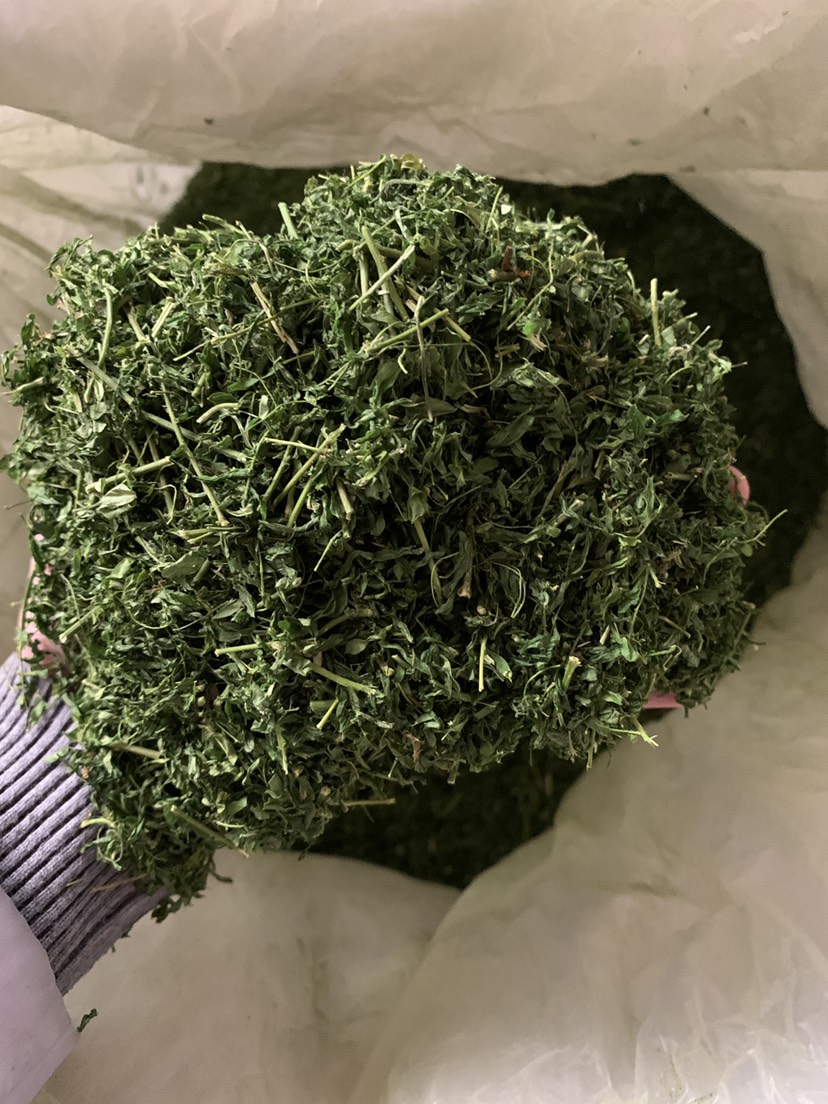相思藤叶 相思藤相思茶养肝茶护肝茶大量批发 原产地直销 可批发 可零