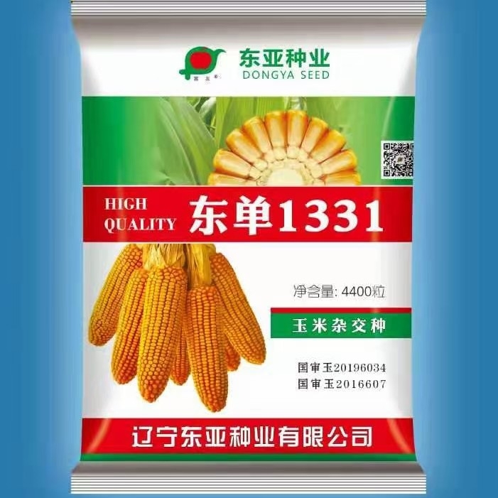 玉米种子 丰乐nk718高产玉米种